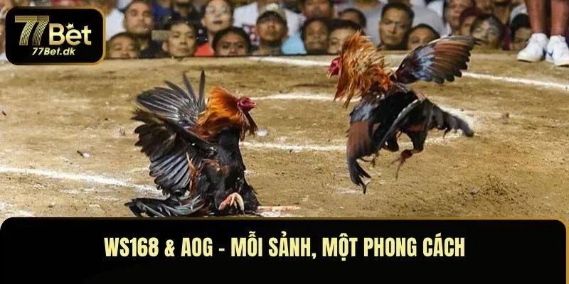 WS168 & AOG – Mỗi sảnh, một phong cách