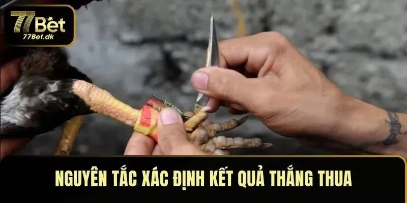 Nguyên tắc xác định kết quả thắng thua trên 77BET