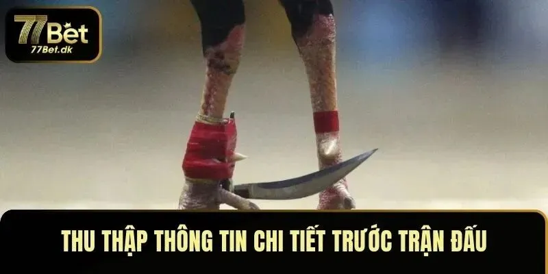 Thu thập và xem xét thông tin chi tiết trước trận đấu