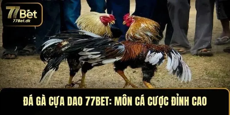 Đá Gà Cựa Dao 77BET: Thưởng Thức Môn Cá Cược Đỉnh Cao