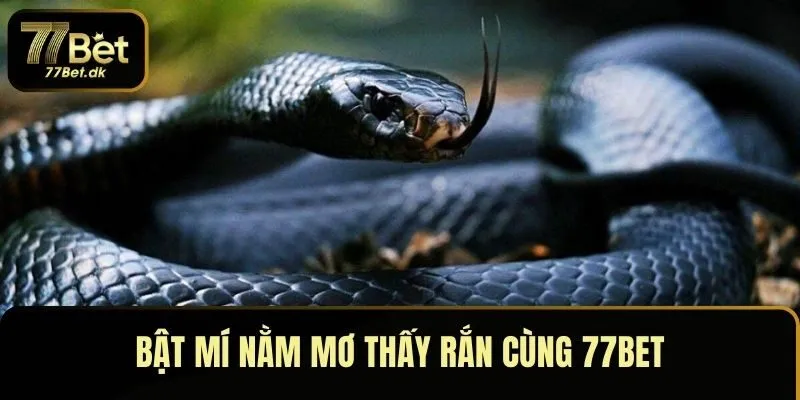 Khám phá nằm mơ thấy rắn là có điều gì xảy ra