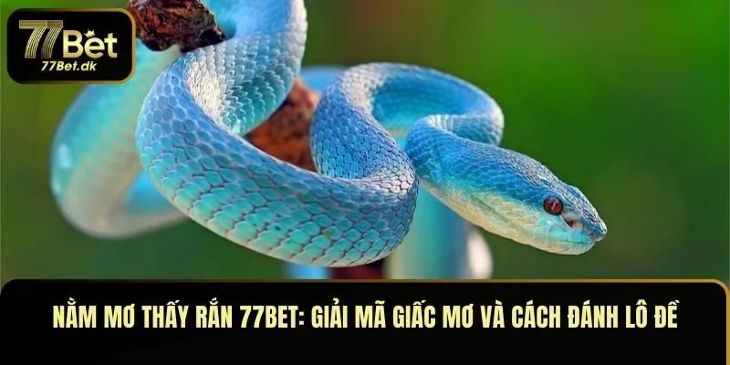 Bật mí nằm mơ thấy rắn cùng 77BET